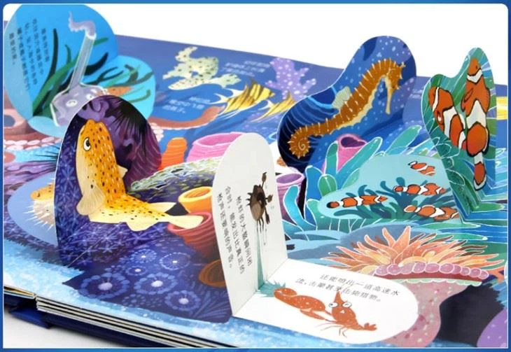 Pop Up Cards Book